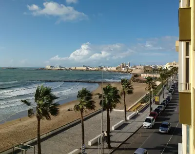 a view of a beach with palm trees and a street at Apartamento Fernández Ladreda in Cádiz