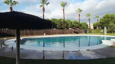 a large swimming pool with palm trees in the background at Apartamento Vespasiano in Chiclana de la Frontera