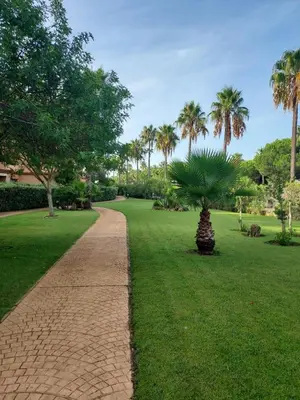 a path in a park with a palm tree at Apartamento Vespasiano in Chiclana de la Frontera