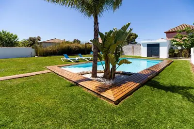 a swimming pool with a palm tree in a yard at Villa La Barrosa in Chiclana de la Frontera