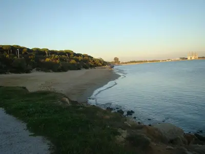 a view of a beach with trees and water at Apartamento Marina el Puerto in El Puerto de Santa María