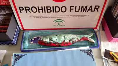 a box with a dead fish inside of it at Casita Coqueta Free Parking in Cádiz