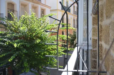 a reflection of a staircase in a window with a tree at Pensión Las Cuatro Naciones in Cádiz