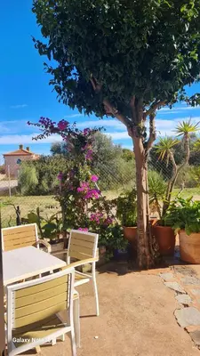 a table and two chairs sitting next to a tree at Casita de María in El Puerto de Santa María