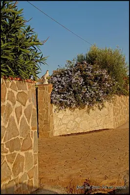 a cat sitting on top of a stone wall at Mi Oasis in Conil de la Frontera