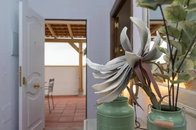a green vase with a flower in a hallway at El Mirador de Bellavista in Conil de la Frontera
