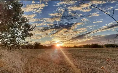 a field with the sun setting in the sky at Cortijo Bablou in Arcos de la Frontera