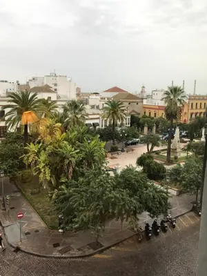 a view of a city with palm trees and buildings at Hotel Trafalgar in Jerez de la Frontera
