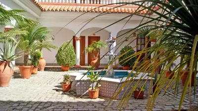 a courtyard with potted plants and a swimming pool at Hotel y Apartamentos Diufain in Conil de la Frontera