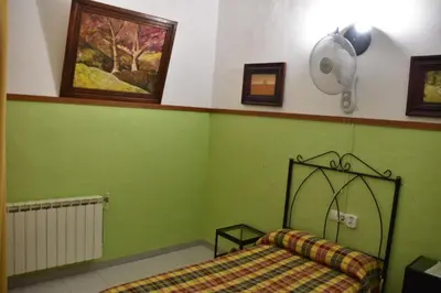a green bedroom with a bed and a fan at Hostal Manolo in El Puerto de Santa María