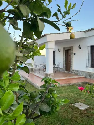 a view of the house from the garden at Chalet La Primera Piedra in Conil de la Frontera