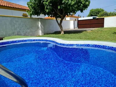 a blue swimming pool in a yard with a tree at Chalet Roche - Pilahito in Conil de la Frontera