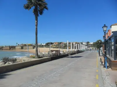 a street next to the beach with a palm tree at estudio marina puerto sherry in El Puerto de Santa María