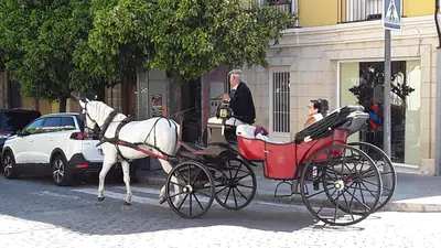 a horse drawn carriage on a city street with two people at Sherryflat Mérito - Parking in Jerez de la Frontera