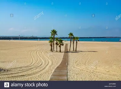 a beach with palm trees and a wooden boardwalk at Hostal Alhaja Playa in El Puerto de Santa María