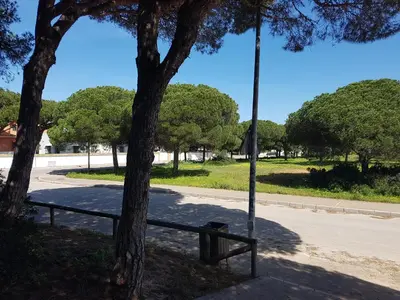 a park with a bench next to a tree at Sancti Petri Marinero in Chiclana de la Frontera