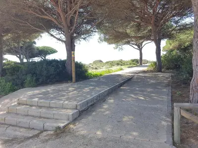 a stone path with trees on either side at Sancti Petri Marinero in Chiclana de la Frontera