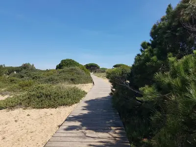 a wooden path through the sand on a beach at Sancti Petri Marinero in Chiclana de la Frontera