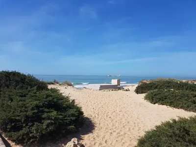 a sandy beach with the ocean in the background at Sancti Petri Marinero in Chiclana de la Frontera