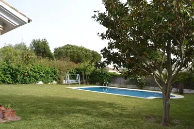 a swimming pool in a yard with a tree at Villa las Redes in El Puerto de Santa María