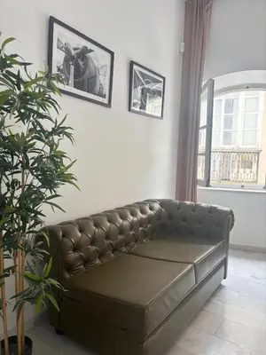 a leather couch in a living room with a plant at ISA Cádiz in Cádiz