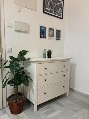a dresser with a potted plant in a room at ISA Cádiz in Cádiz