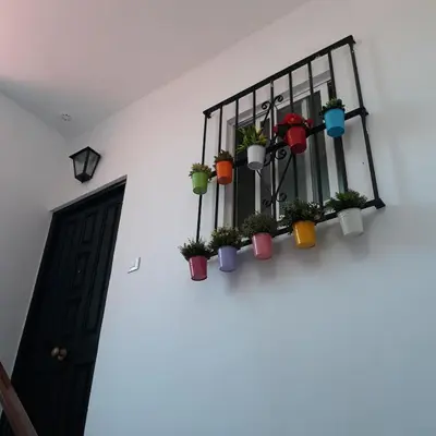 a room with a window with potted plants on a shelf at Atico Soleado in Cádiz