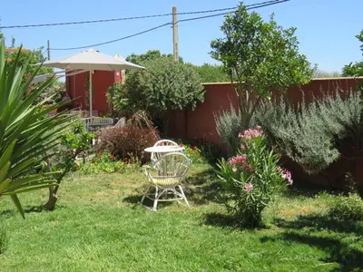 a garden with a chair and an umbrella at HIGOS CHUMBOS, CASA RURAL COMPARTIDO in Chiclana de la Frontera