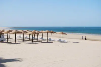 a group of umbrellas and chairs on a beach at Tranvía Beach House in Chipiona