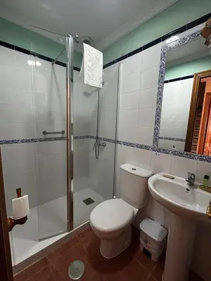 a bathroom with a shower and a toilet and a sink at La Casa del Camaleon in Chipiona