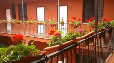 a row of flower pots on a balcony at Al Andalus Jerez in Jerez de la Frontera