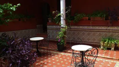 two tables and chairs in a room with plants at Al Andalus Jerez in Jerez de la Frontera