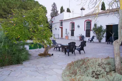 a patio with chairs and a table and a building at Jerez Viña Santa Petronila in Jerez de la Frontera