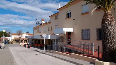 a building with a palm tree next to a street at Hotel Catalán Puerto Real in Puerto Real