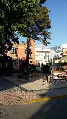 a street with two benches and a tree on a sidewalk at Tabano in Chipiona