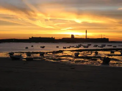 a group of birds sitting on the beach at sunset at Apartamento El SABIO by Cadiz4Rentals in Cádiz