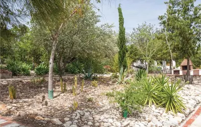 a garden with plants and trees in a yard at Beautiful Home In Arcos De La Frontera in Arcos de la Frontera
