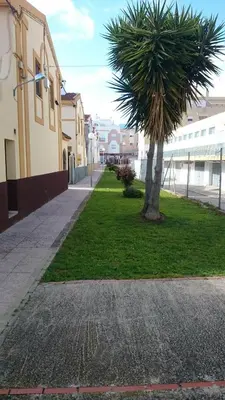 a palm tree in the grass next to a sidewalk at Isabelita in Rota