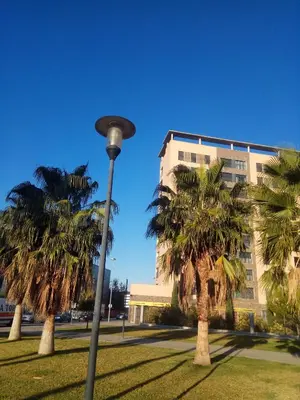 a street light in front of a building with palm trees at Apartamento La Ermita Wifi in Jerez de la Frontera