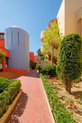 a walkway in front of a building with bushes and flowers at Aparthotel las Dunas in Chiclana de la Frontera