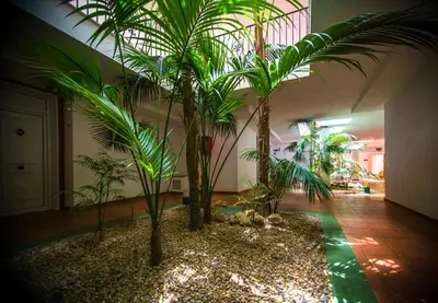 a room with a bunch of palm trees in it at Aparthotel las Dunas in Chiclana de la Frontera