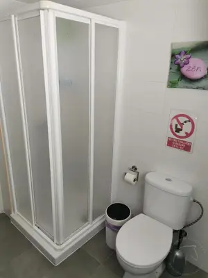 a bathroom with a toilet and a sink and a mirror at Casasjerezanas Loft Las Flores in Jerez de la Frontera