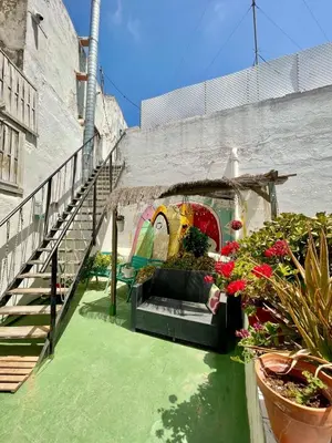 a garden with plants and flowers in a building at Rosa de los Vientos in Cádiz