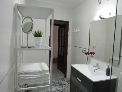 a bathroom with a shower and a sink and a mirror at Apartamento Alameda in Cádiz