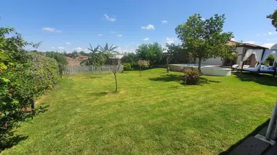 a garden with a small tree in the yard at El chalet del Mar in Chiclana de la Frontera