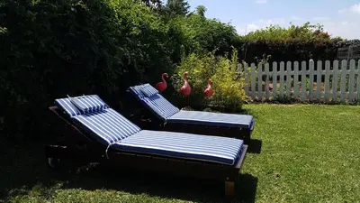 two chairs sitting in the grass in a yard at El chalet del Mar in Chiclana de la Frontera