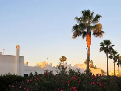 a palm tree with a city in the background at Apartment in Rota Cadiz, terrace AC wifi in Rota