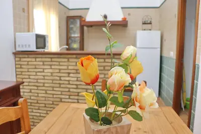 a vase with roses on a table in a kitchen at Chalet Chaparrillo in Conil de la Frontera