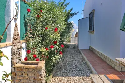 a garden with red flowers on a wall at Chalet Chaparrillo in Conil de la Frontera