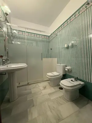 a bathroom with a toilet and a sink at Hotel La Española in Chipiona